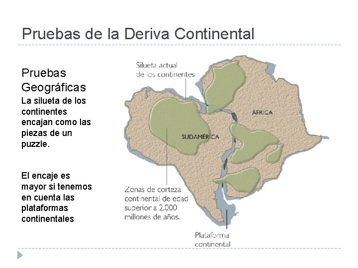 Pruebas de la Deriva Continental Pruebas Geográficas La silueta de los continentes encajan como
