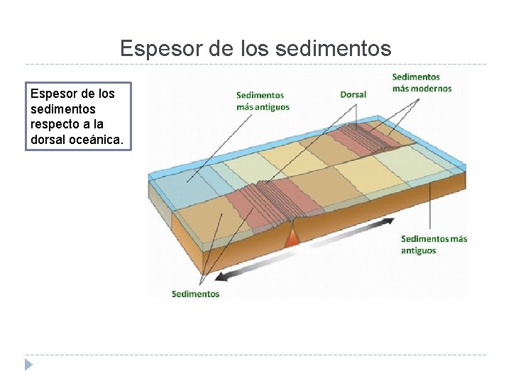 Espesor de los sedimentos respecto a la dorsal oceánica. 