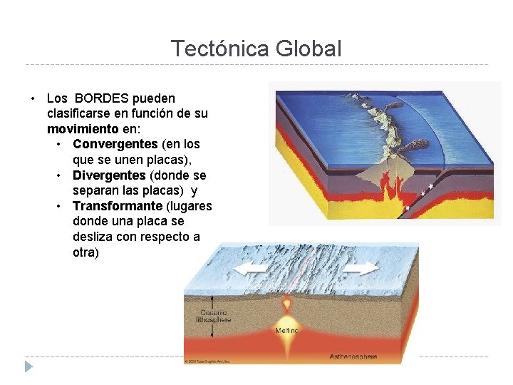 Tectónica Global • Los BORDES pueden clasificarse en función de su movimiento en: •