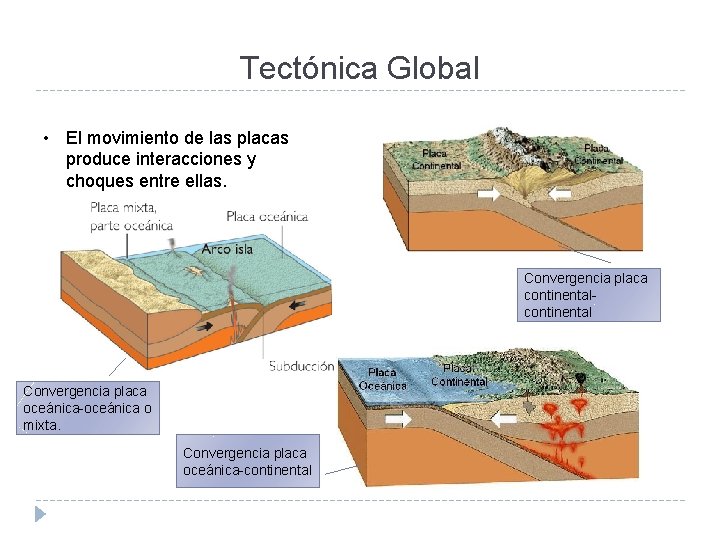 Tectónica Global • El movimiento de las placas produce interacciones y choques entre ellas.