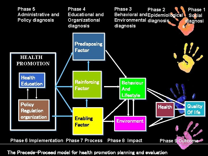 Phase 5 Administrative and Policy diagnosis Phase 4 Educational and Organizational diagnosis Phase 3