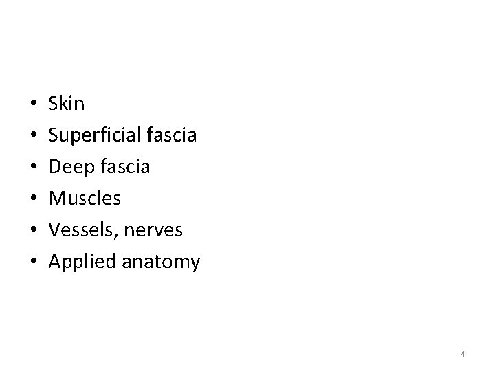  • • • Skin Superficial fascia Deep fascia Muscles Vessels, nerves Applied anatomy