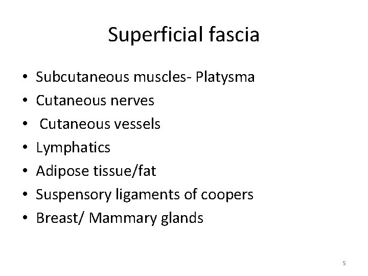 Superficial fascia • • Subcutaneous muscles- Platysma Cutaneous nerves Cutaneous vessels Lymphatics Adipose tissue/fat