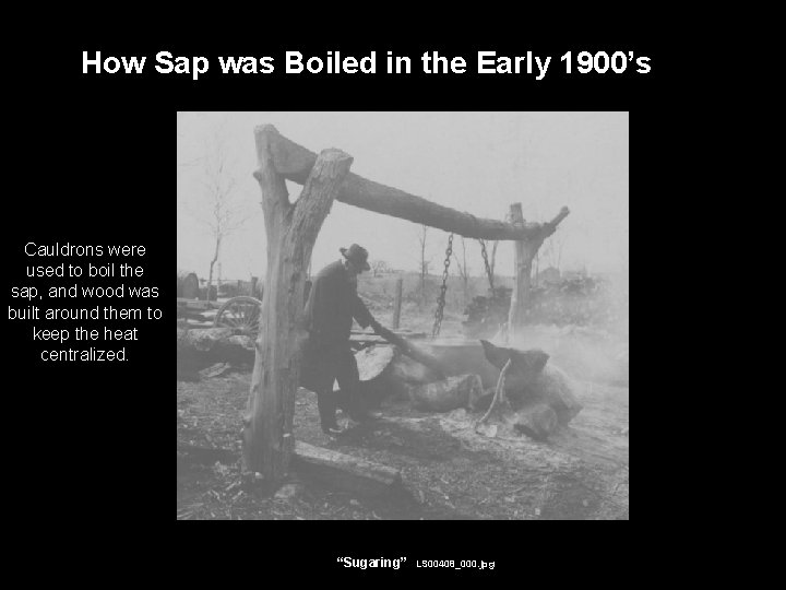 How Sap was Boiled in the Early 1900’s Cauldrons were used to boil the