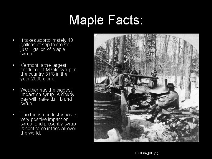 Maple Facts: • It takes approximately 40 gallons of sap to create just 1
