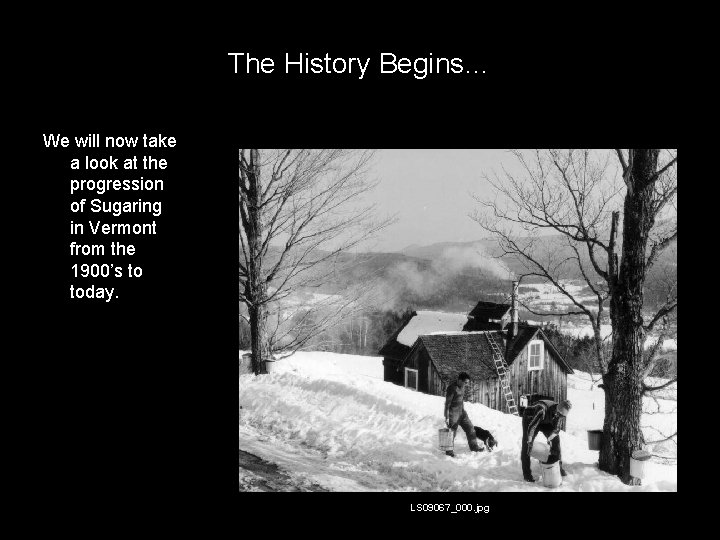 The History Begins… We will now take a look at the progression of Sugaring