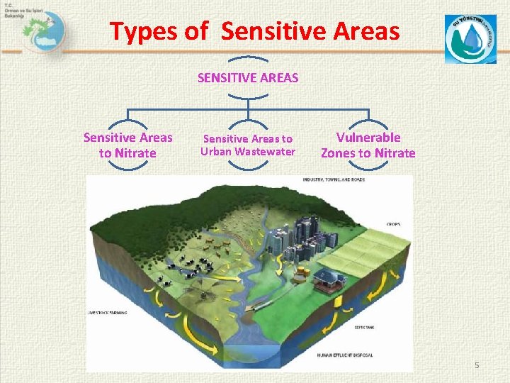 Types of Sensitive Areas SENSITIVE AREAS Sensitive Areas to Nitrate Sensitive Areas to Urban