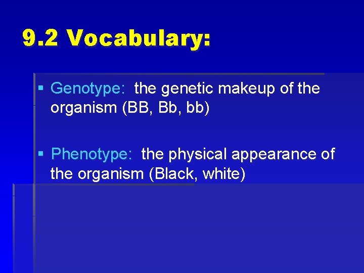 9. 2 Vocabulary: § Genotype: the genetic makeup of the organism (BB, Bb, bb)