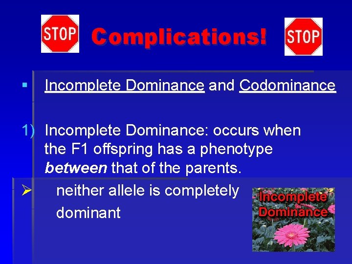 Complications! § Incomplete Dominance and Codominance 1) Incomplete Dominance: occurs when the F 1