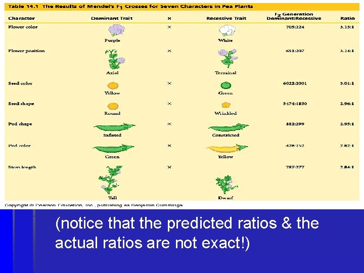 (notice that the predicted ratios & the actual ratios are not exact!) 