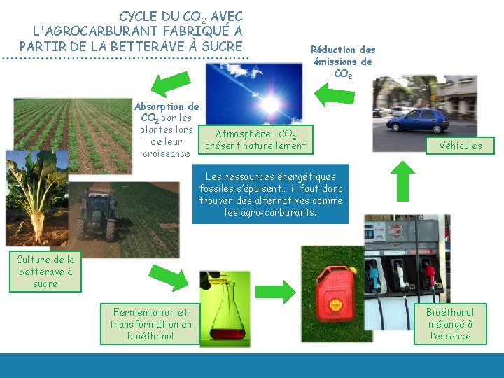 CYCLE DU CO 2 AVEC L'AGROCARBURANT FABRIQUÉ A PARTIR DE LA BETTERAVE À SUCRE