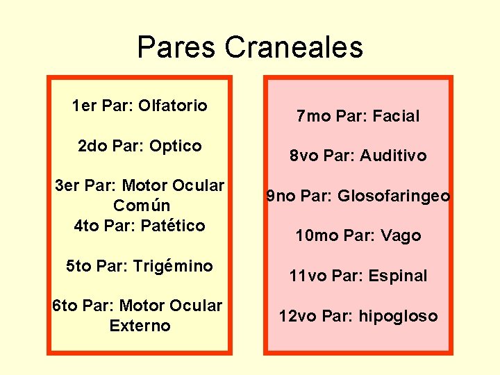 Pares Craneales 1 er Par: Olfatorio 2 do Par: Optico 3 er Par: Motor