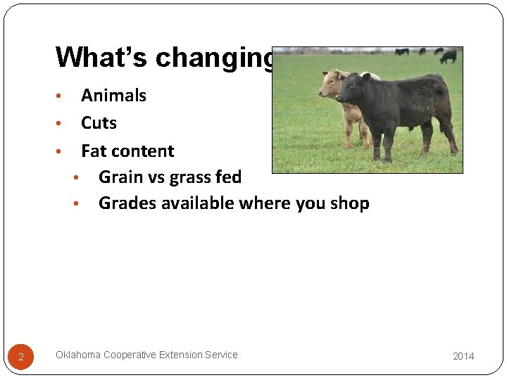 What’s changing Animals • Cuts • Fat content • Grain vs grass fed •