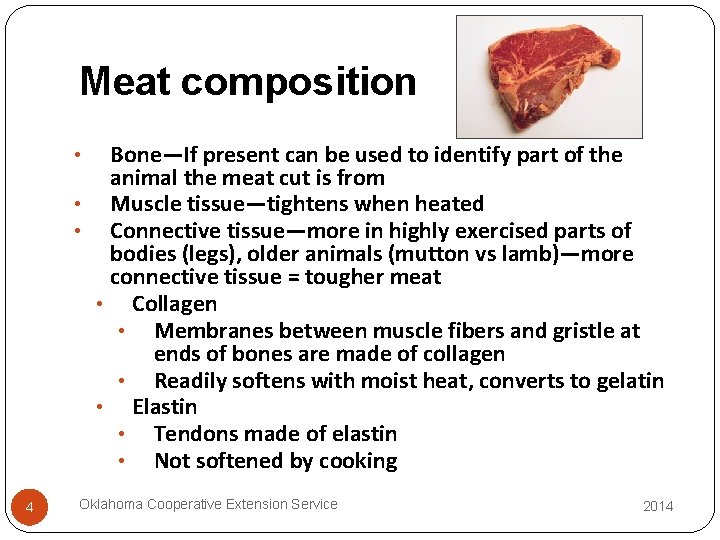 Meat composition Bone—If present can be used to identify part of the animal the