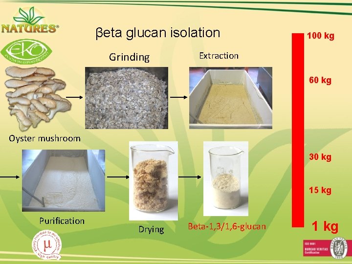 βeta glucan isolation Grinding 100 kg Extraction 60 kg Oyster mushroom 30 kg 15