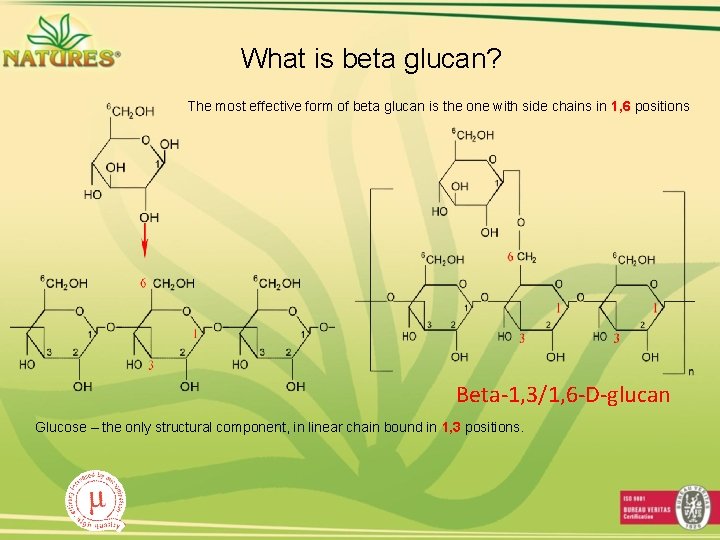 What is beta glucan? The most effective form of beta glucan is the one