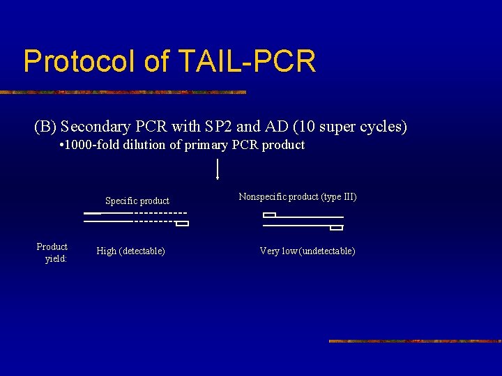 Protocol of TAIL-PCR (B) Secondary PCR with SP 2 and AD (10 super cycles)