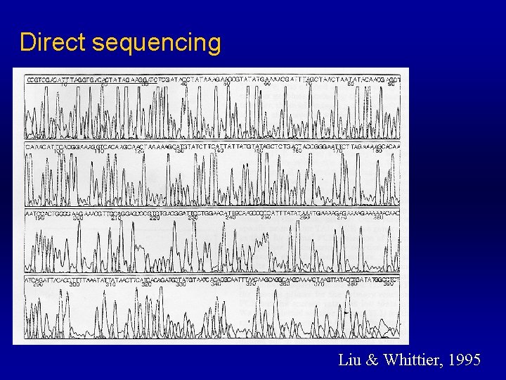 Direct sequencing Liu & Whittier, 1995 