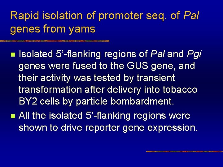 Rapid isolation of promoter seq. of Pal genes from yams n n Isolated 5’-flanking