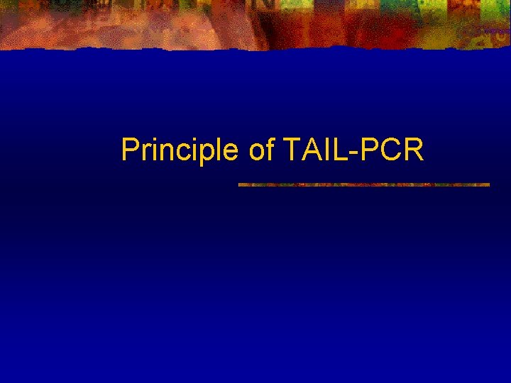Principle of TAIL-PCR 