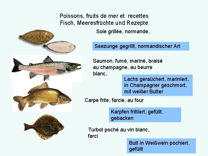 Poissons, fruits de mer et recettes Fisch, Meeresfrüchte und Rezepte Sole grillée, normande, Seezunge