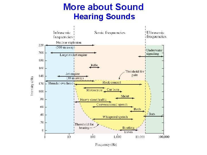 More about Sound Hearing Sounds 
