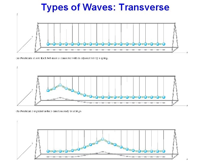 Types of Waves: Transverse 