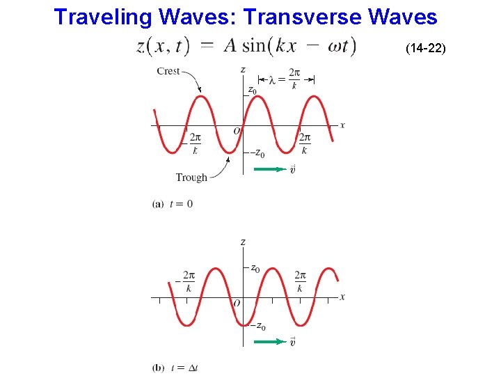 Traveling Waves: Transverse Waves (14 -22) 