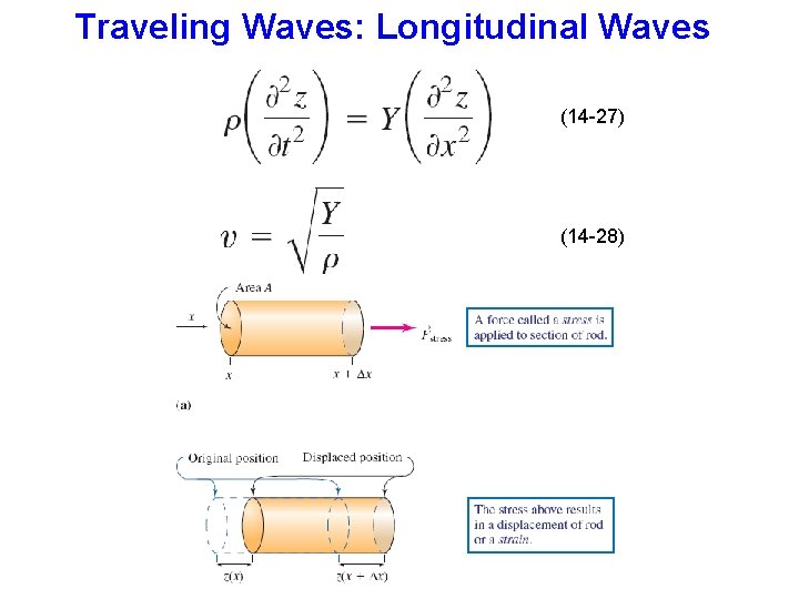 Traveling Waves: Longitudinal Waves (14 -27) (14 -28) 