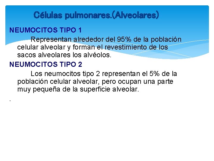 Células pulmonares. (Alveolares) NEUMOCITOS TIPO 1 Representan alrededor del 95% de la población celular