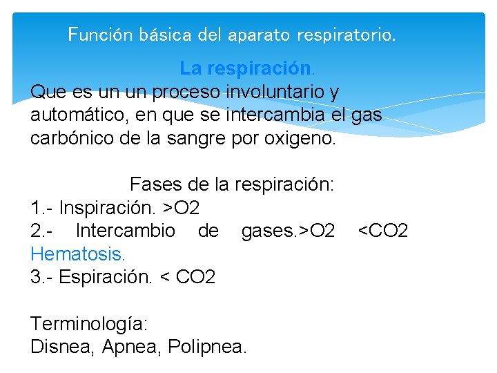 Función básica del aparato respiratorio. La respiración. Que es un un proceso involuntario y