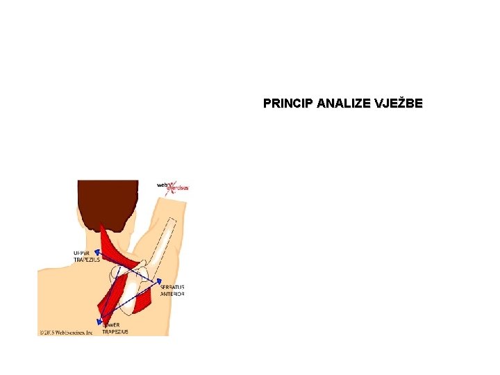 PRINCIP ANALIZE VJEŽBE 