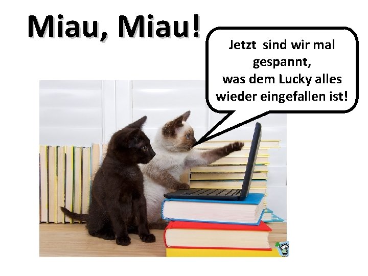 Miau, Miau! Jetzt sind wir mal gespannt, was dem Lucky alles wieder eingefallen ist!