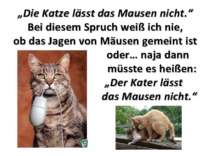 „Die Katze lässt das Mausen nicht. “ Bei diesem Spruch weiß ich nie, ob