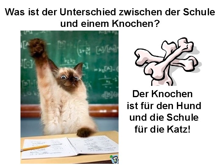 Was ist der Unterschied zwischen der Schule und einem Knochen? Der Knochen ist für