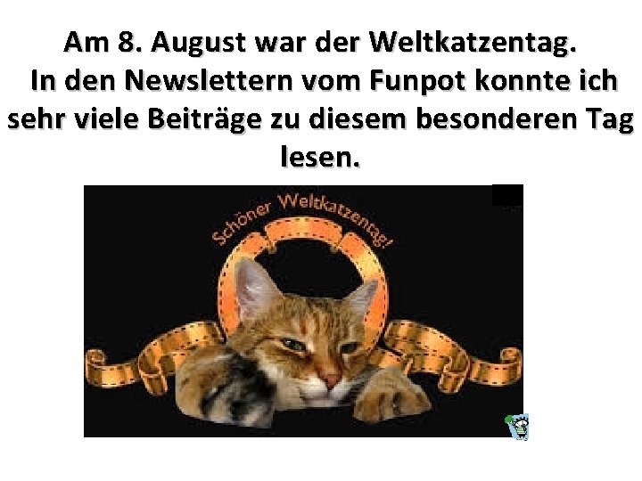 Am 8. August war der Weltkatzentag. In den Newslettern vom Funpot konnte ich sehr