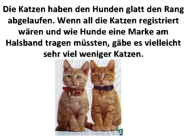 Die Katzen haben den Hunden glatt den Rang abgelaufen. Wenn all die Katzen registriert