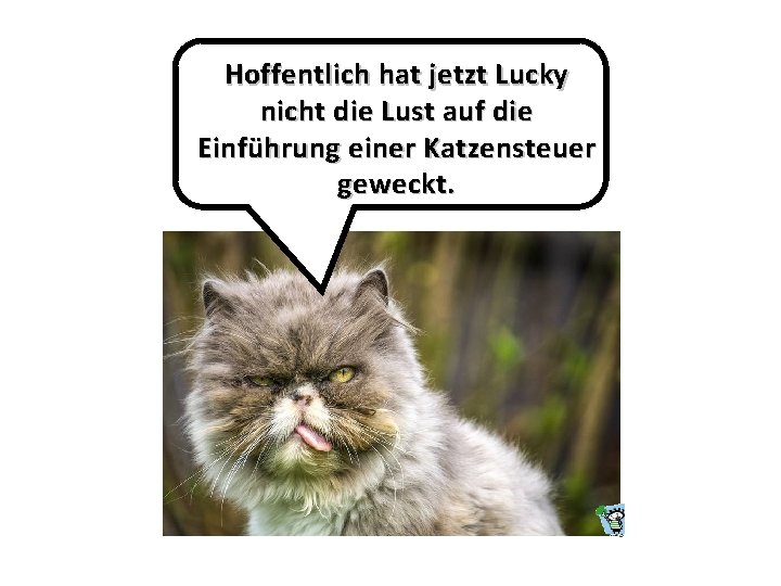 Hoffentlich hat jetzt Lucky nicht die Lust auf die Einführung einer Katzensteuer geweckt. 