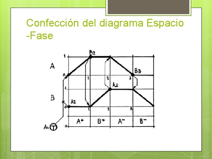 Confección del diagrama Espacio -Fase 