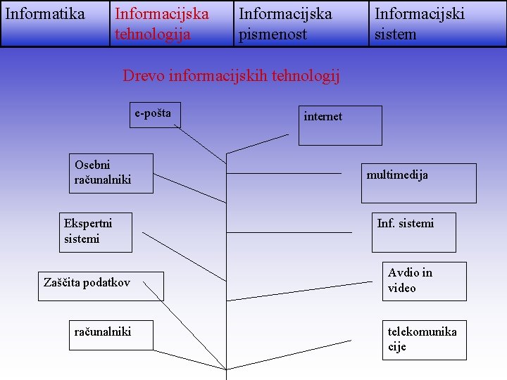 Informatika Informacijska tehnologija Informacijska pismenost Informacijski sistem Drevo informacijskih tehnologij e-pošta Osebni računalniki Ekspertni