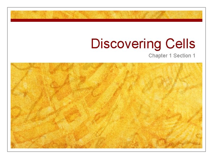 Discovering Cells Chapter 1 Section 1 