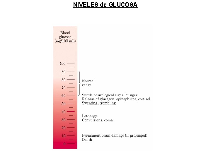 NIVELES de GLUCOSA NIVELES de GLUCOSA