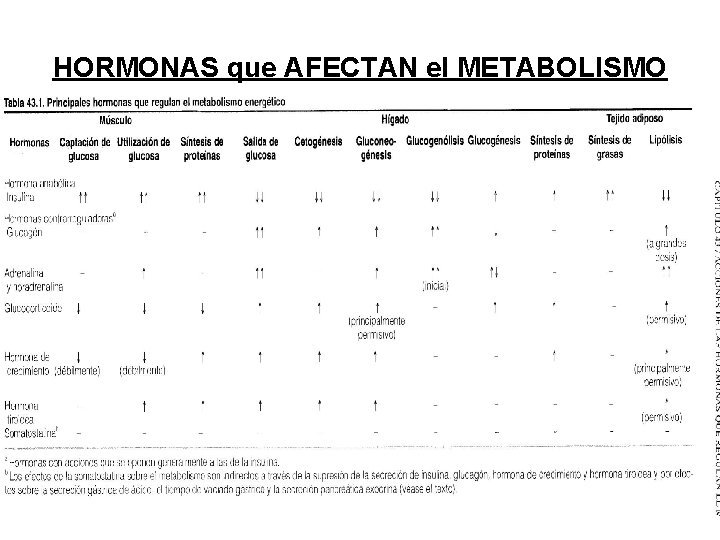 HORMONAS que AFECTAN el METABOLISMO HORMONAS que AFECTAN el METABOLISMO