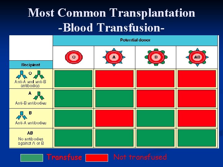 Most Common Transplantation -Blood Transfusion- Transfuse Not transfused 