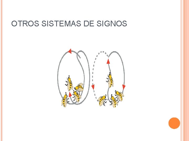 OTROS SISTEMAS DE SIGNOS 