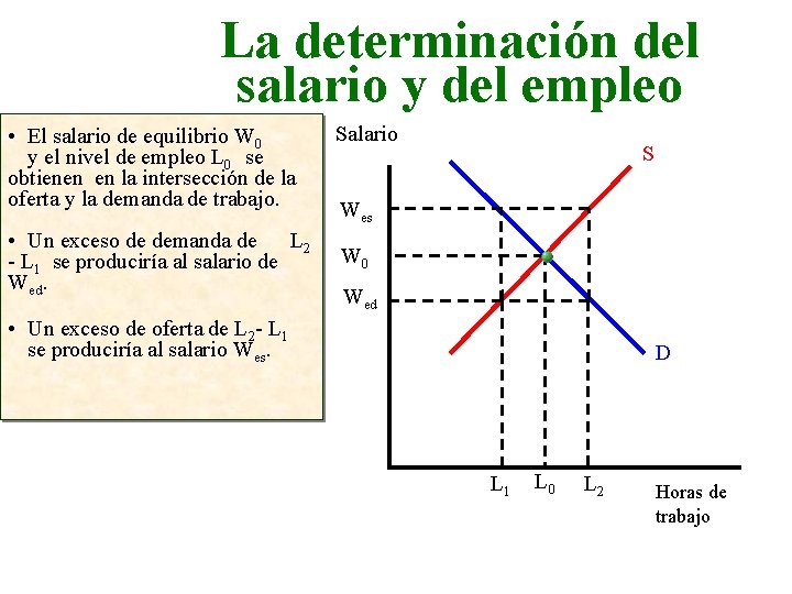 La determinación del salario y del empleo • El salario de equilibrio W 0