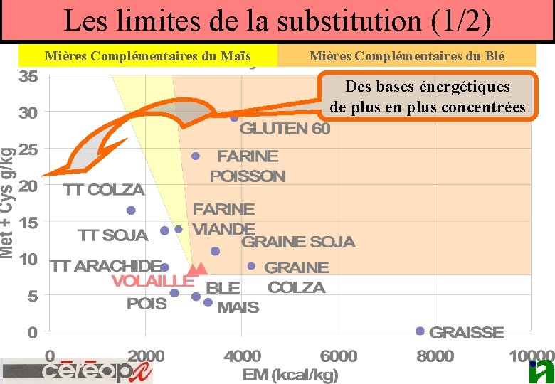 Les limites de la substitution (1/2) Mières Complémentaires du Maïs Mières Complémentaires du Blé