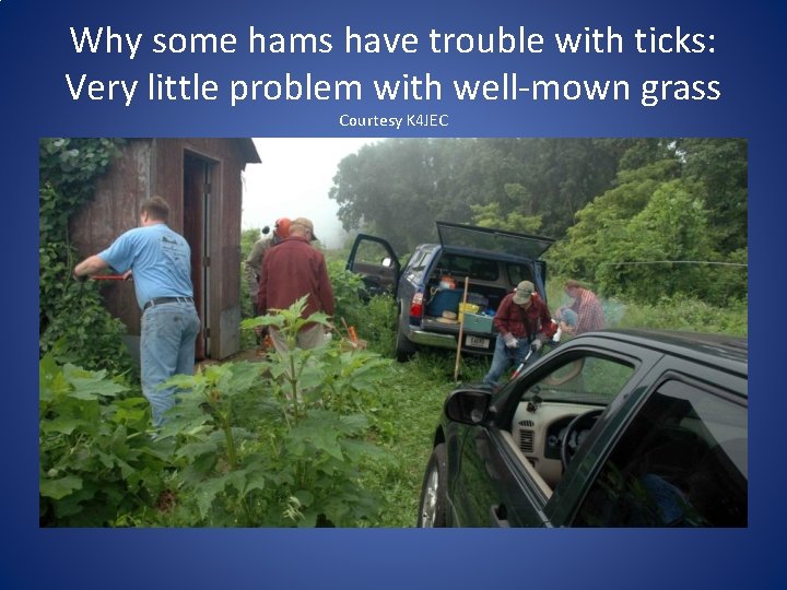 Why some hams have trouble with ticks: Very little problem with well-mown grass Courtesy