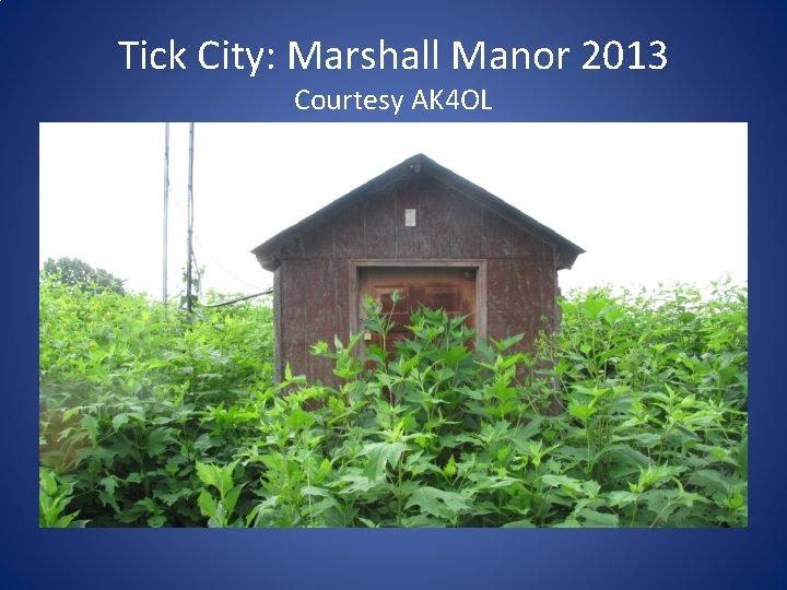 Tick City: Marshall Manor 2013 Courtesy AK 4 OL 