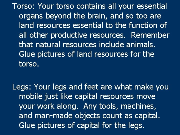Torso: Your torso contains all your essential organs beyond the brain, and so too
